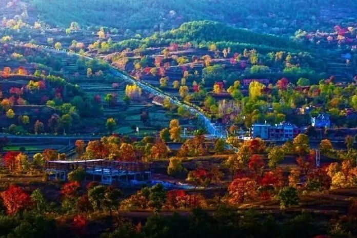 大別山（大悟）紅葉景區