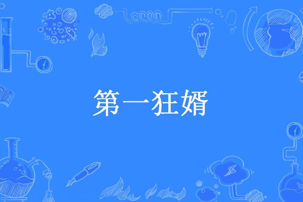 第一狂婿(歲月無聲所著小說)