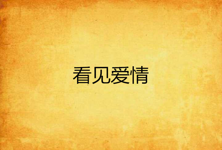 看見愛情(小說)