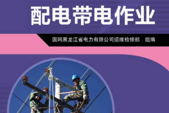 供電企業現場作業技術問答：配電帶電作業