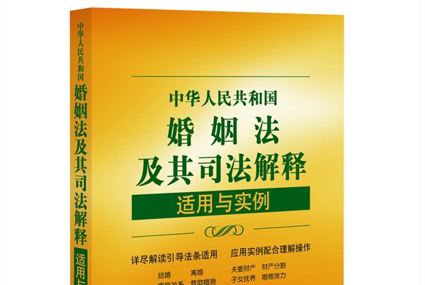 中華人民共和國婚姻法及其司法解釋適用與實例