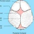 前囟張力增高