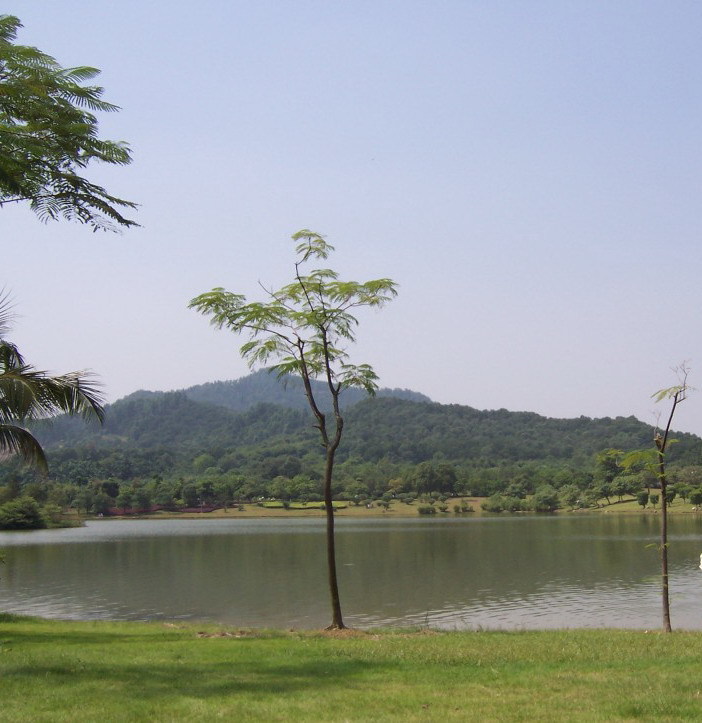 廣東梧桐山國家森林公園