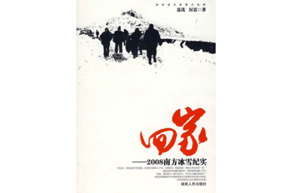 回家：2008南方冰雪紀實