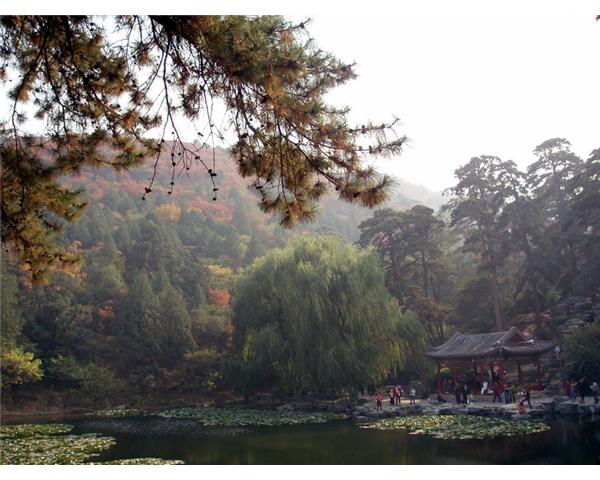 香山聽松吟