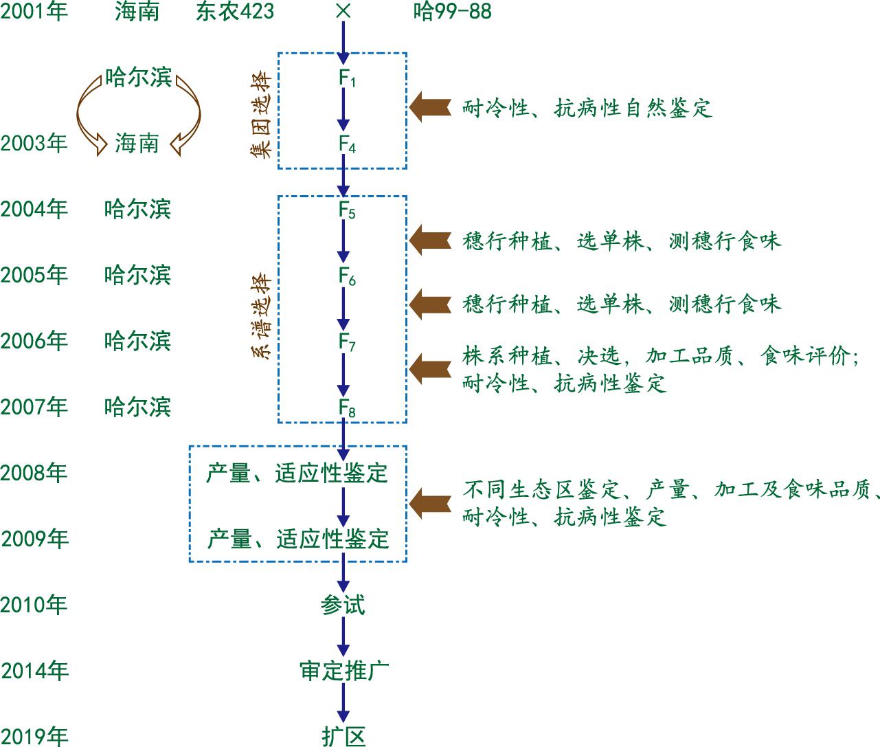 龍稻18