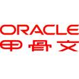 甲骨文公司(美國Oracle公司)