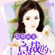 隱婚溺寵：總裁的萌妻(芭比菇涼創作的網路小說作品)