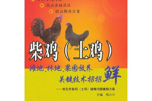 柴雞（土雞）灘地、林地、果園放養關鍵技術招招鮮