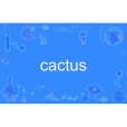 cactus(英語單詞)