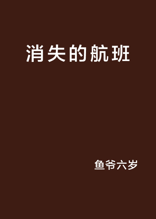 消失的航班(17K小說網)