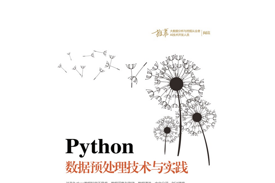 Python數據預處理技術與實踐(白寧超、唐聃、文俊出版的圖書)