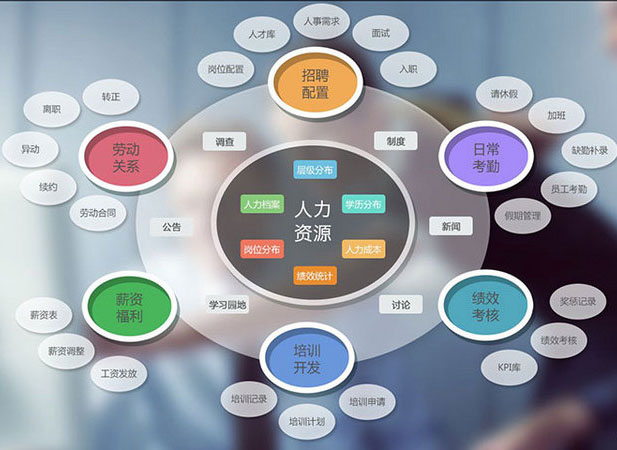 BIS(商業信息系統)