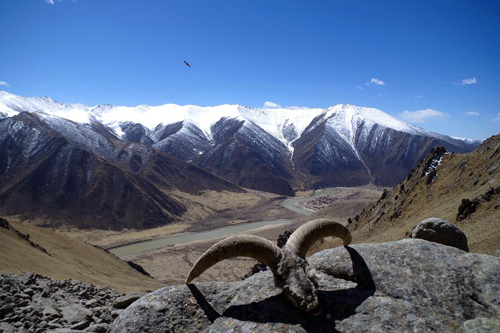 班瑪仁脫山