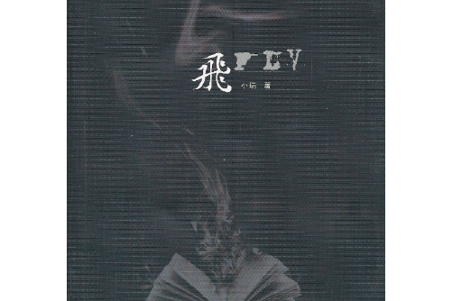 飛(2013年花城出版社出版的圖書)