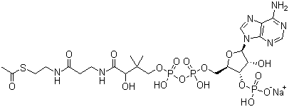 乙醯輔酶A鈉鹽