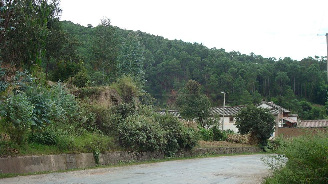 茂林村(雲南峨山縣岔河鄉下轄村)