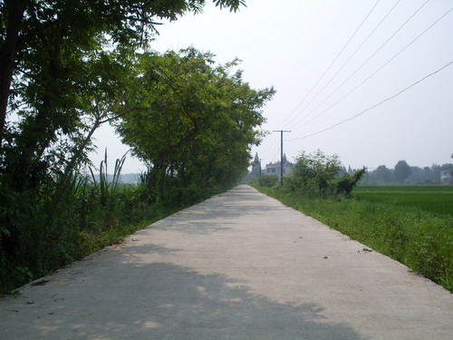 金橋村(江蘇南通市通州區平東鎮下轄村)