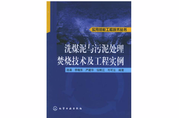 洗煤泥與污泥處理焚燒技術及工程實例