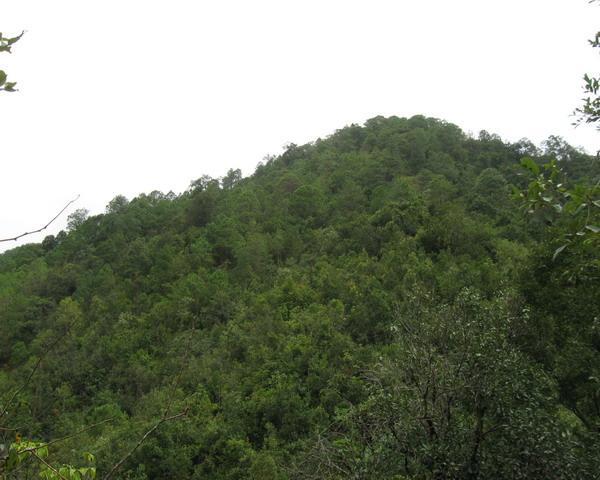 永平鎮鐘山村