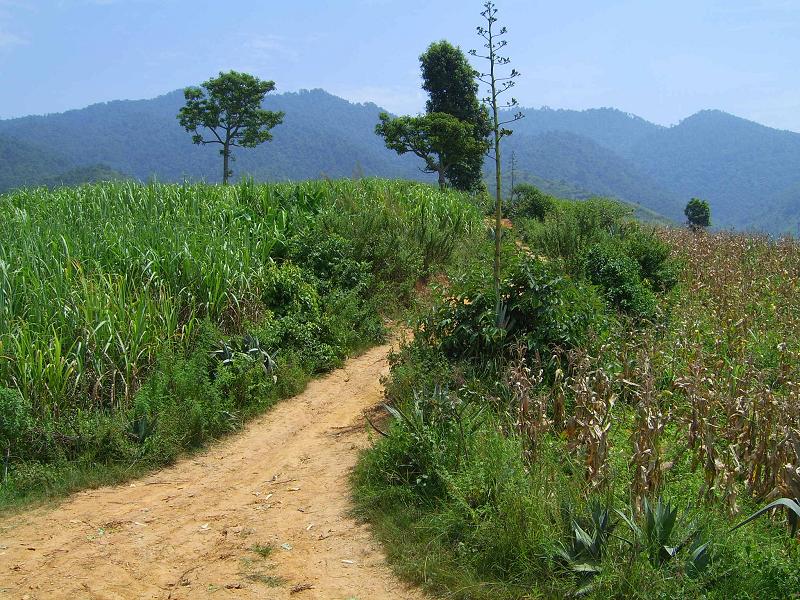 峨頭山自然村(雲南省保山市昌寧縣沙壩村下轄村)