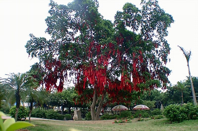 圭峰山國家森林公園