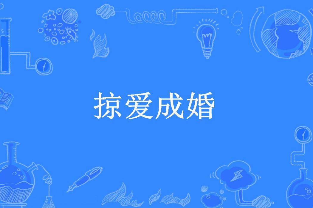 掠愛成婚(咖啡不加糖所著小說)