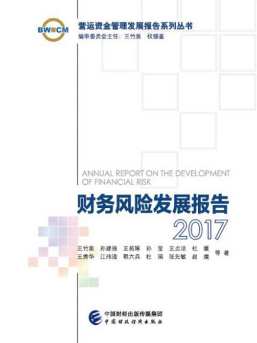 財務風險發展報告2017