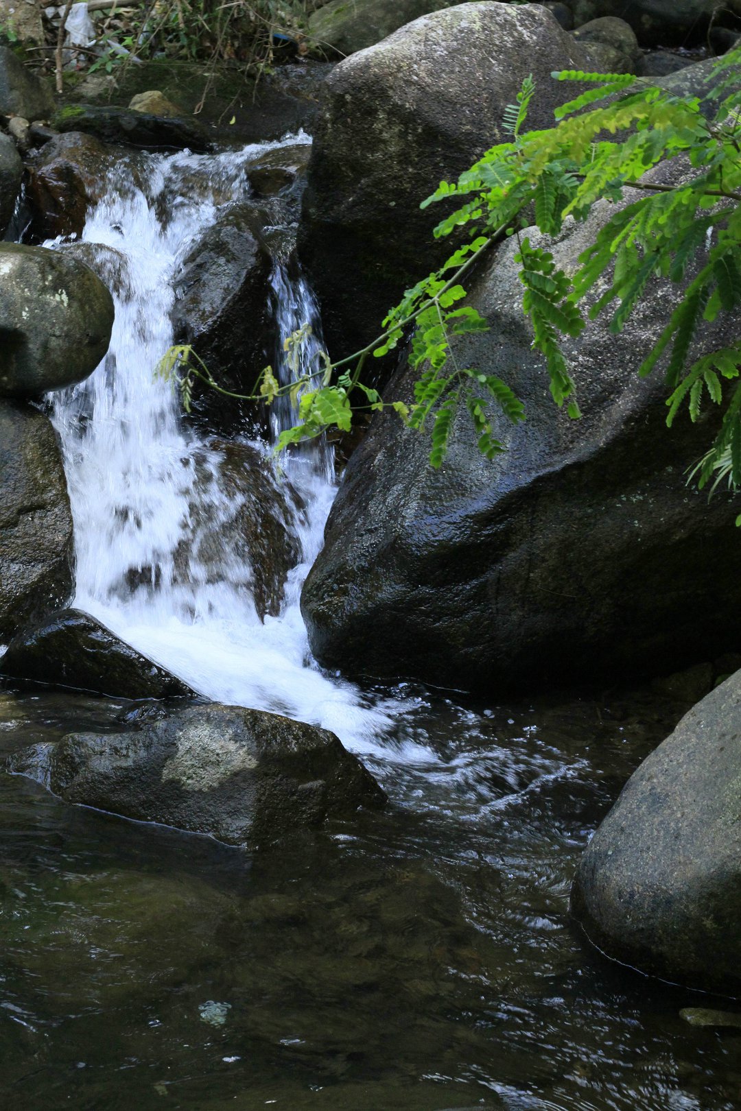 園山風景區