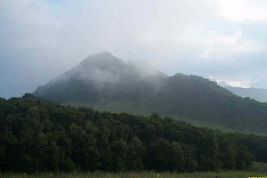 閣山林場遠景