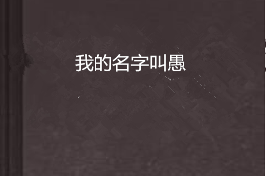 我的名字叫愚