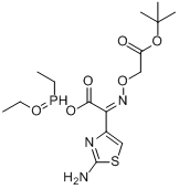 PTMA