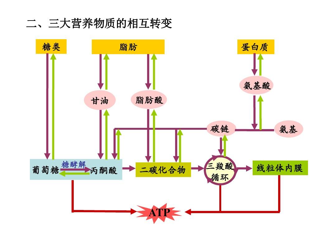 生物營養物質