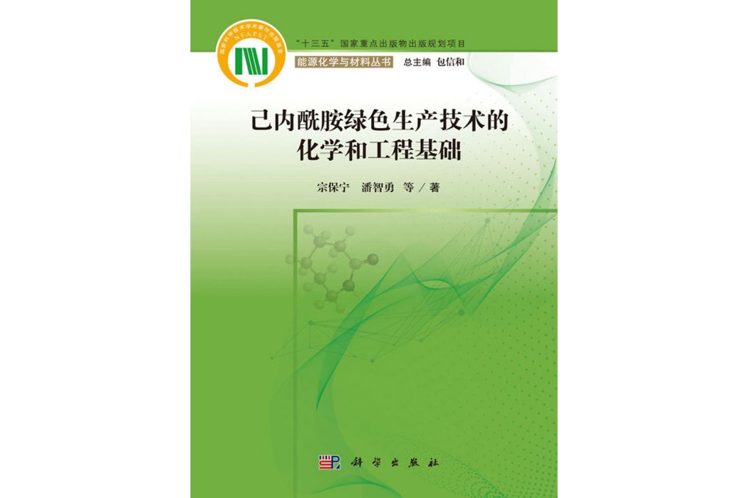 己內醯胺綠色生產技術的化學和工程基礎