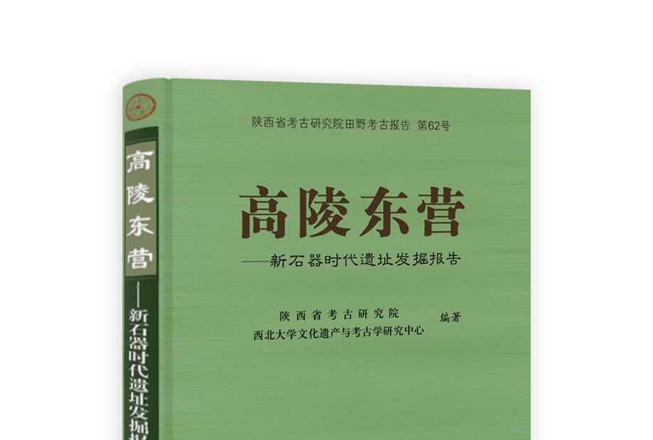 高陵東營 : 新石器時代遺址發掘報告