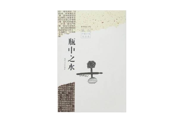 林白文集（全四冊）