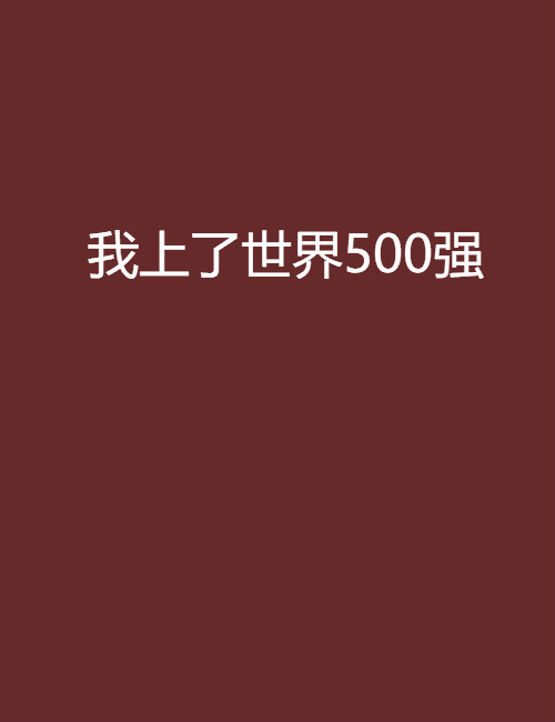 我上了世界500強