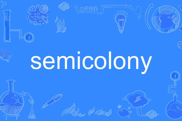 semicolony