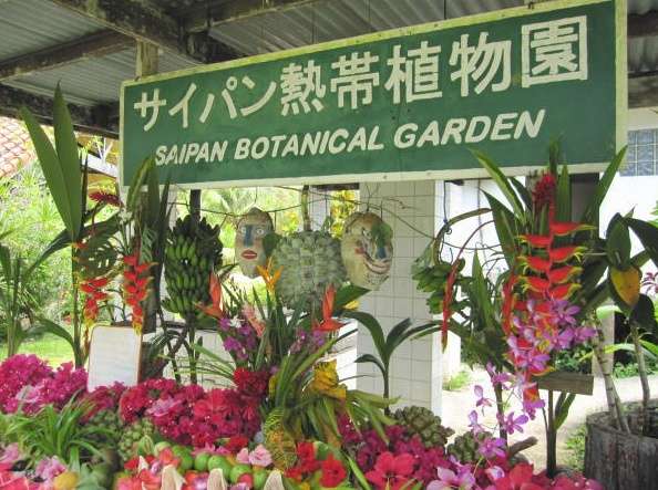 塞班島植物園