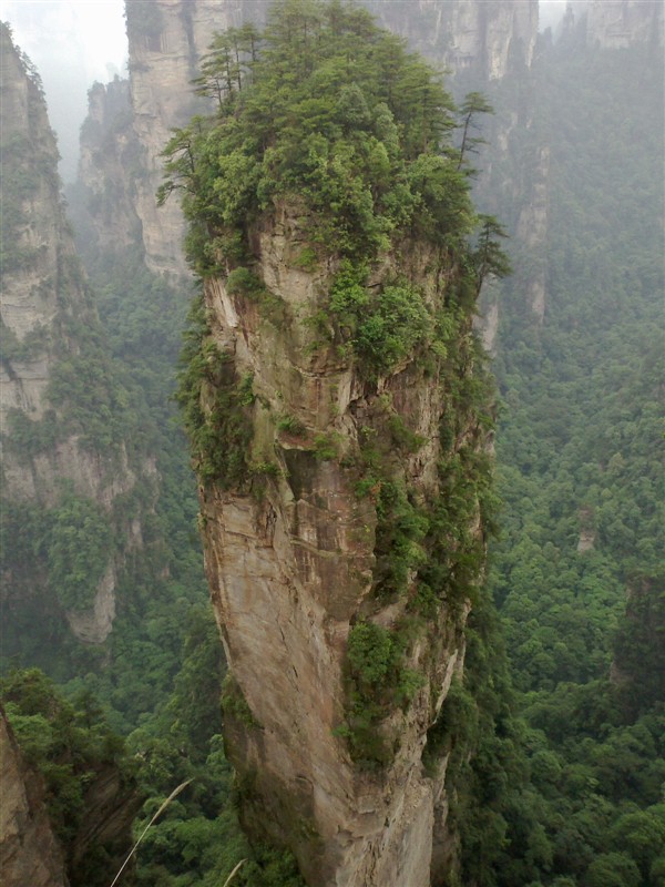 上海到張家界旅遊網