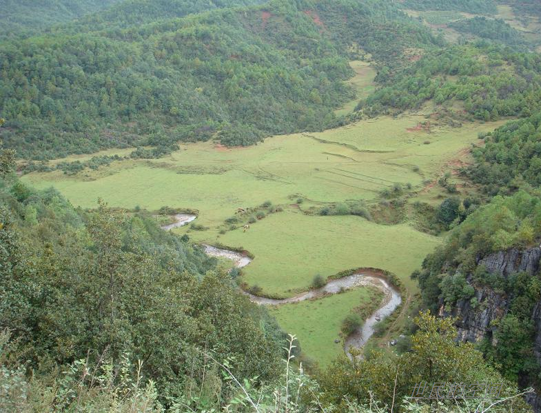 忠義村(雲南麗江七河鎮轄村)