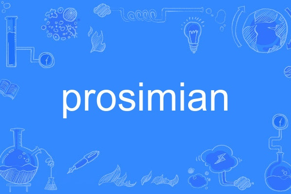 prosimian