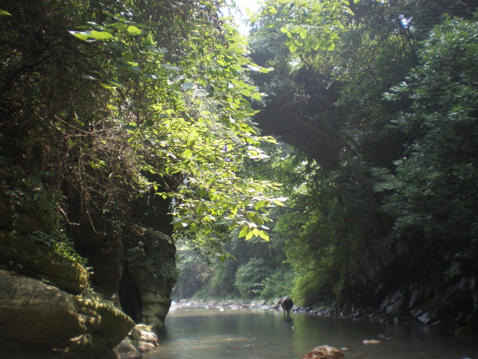 思陽橋村