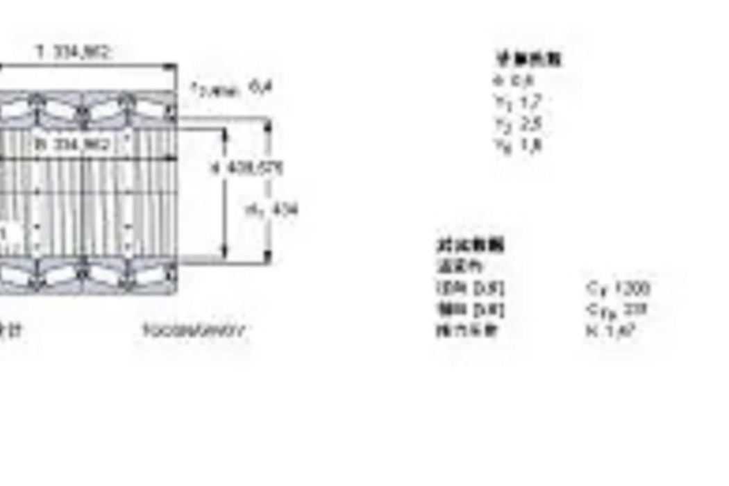 SKF BT4-8021G-HA1VA919軸承