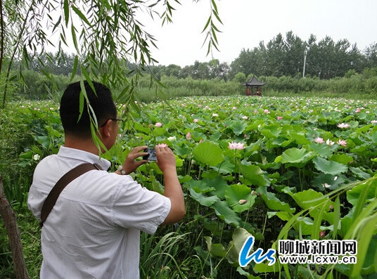 聊城植物園