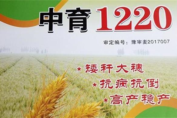 中育1220