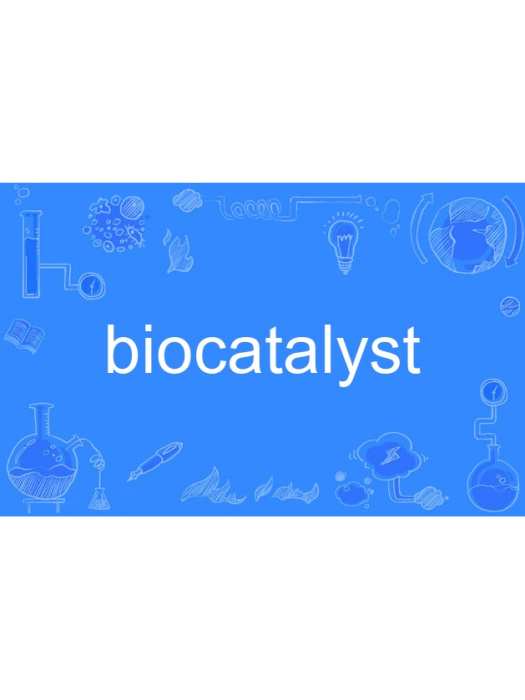 biocatalyst