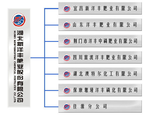 湖北新洋豐肥業股份有限公司