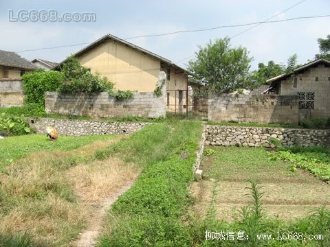 大埔村(廣東省廣州市增城市派潭鎮下轄村)