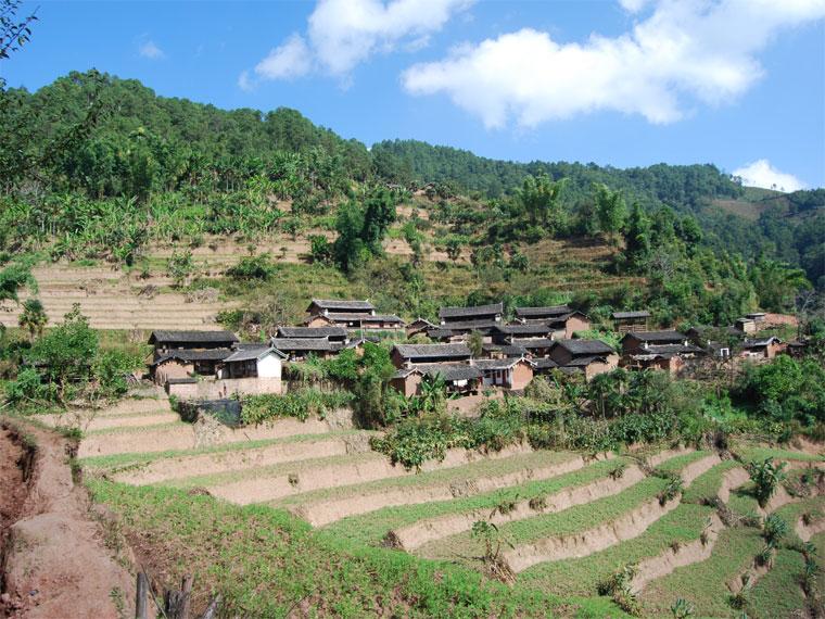 沙河村(雲南省普洱鎮沅縣振太鄉沙河村民委員會)